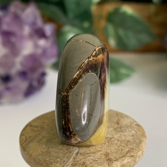 Geode Septarian Nodule Bear Figurine Carved Zuni Style Dragon Stone Carving 2" - Picture 5 of 12